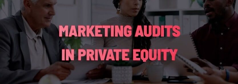 Private Equity Portfolio Company Marketing Audit