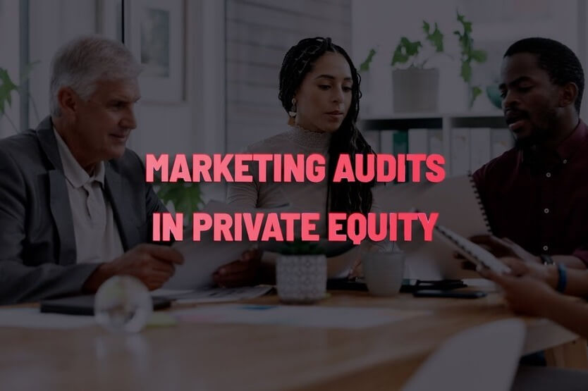 Private Equity Portfolio Company Marketing Audit